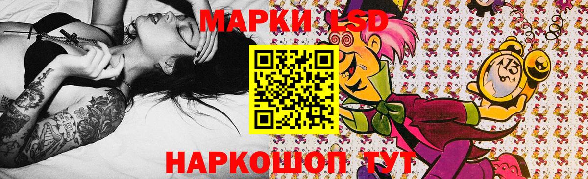 Наркотические марки 1500мкг  Наркотические марки 1500мкг  Новошахтинск  Вход с VPN 
