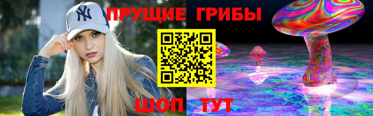 Новошахтинск  Галлюциногенные грибы прущие грибы  Галлюциногенные грибы ЛСД  Вход с VPN 
